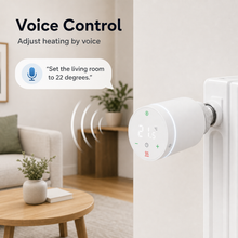 Generic voice control scene for smart radiator thermostatic valve