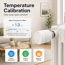 Temperature calibration scene for connected radiator thermostatic valve