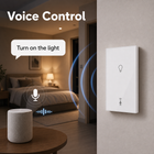 Voice control scene for Zigbee wall presence light switch