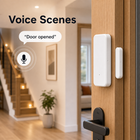 Generic voice scene control for WiFi door sensor without branded assistants
