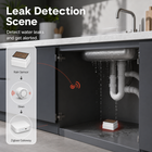 Kitchen leak detection scene with rain and leak sensor