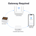 Gateway required setup diagram for Zigbee rain and leak sensor