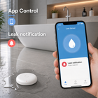 Kitchen leak notification scene with water sensor and mobile app alert