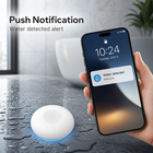 Push notification example for water detected by leak sensor