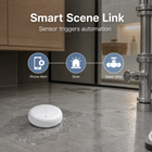 Smart scene link example for water leak sensor automation