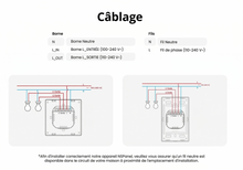 Schéma de câblage du thermostat avec bornes L, N et N1.