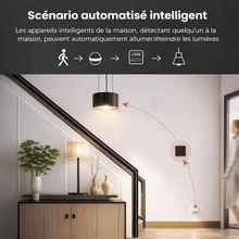 Scénario automatisé du variateur tactile pour éclairage d’entrée.