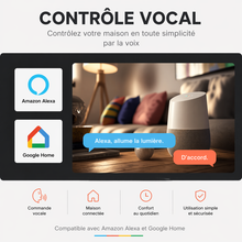 Interrupteur Zigbee controle vocal